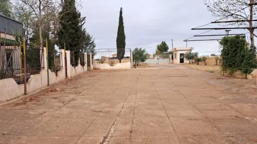 Vente Terrain Agricole Tiaret Tiaret