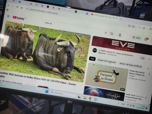 Écran 27'' IPS professionnel  FHD 75HZ