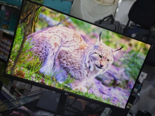 Écran 27'' IPS professionnel  FHD 75HZ