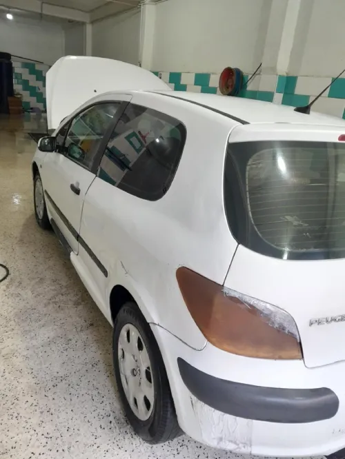Peugeot 307 2003 307