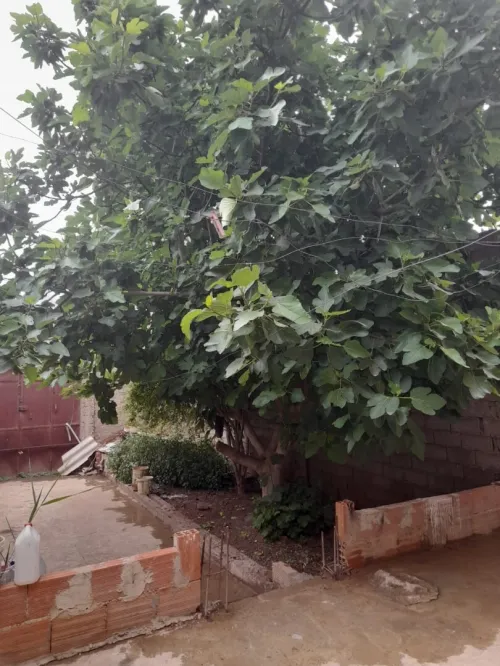 Vente Villa Oran Es senia