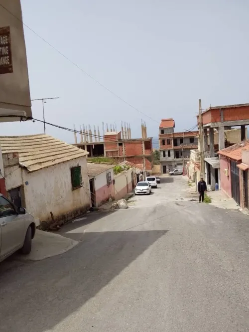 Vente Terrain Tipaza Bou ismail