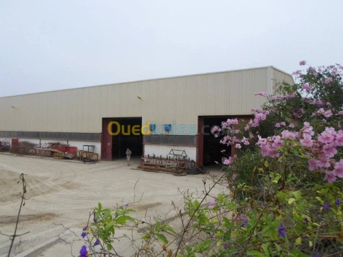 Charpente métallique 