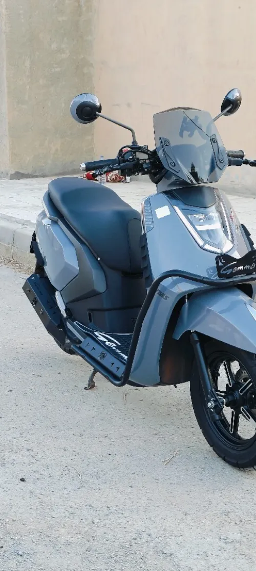 Vms Gemma 2025