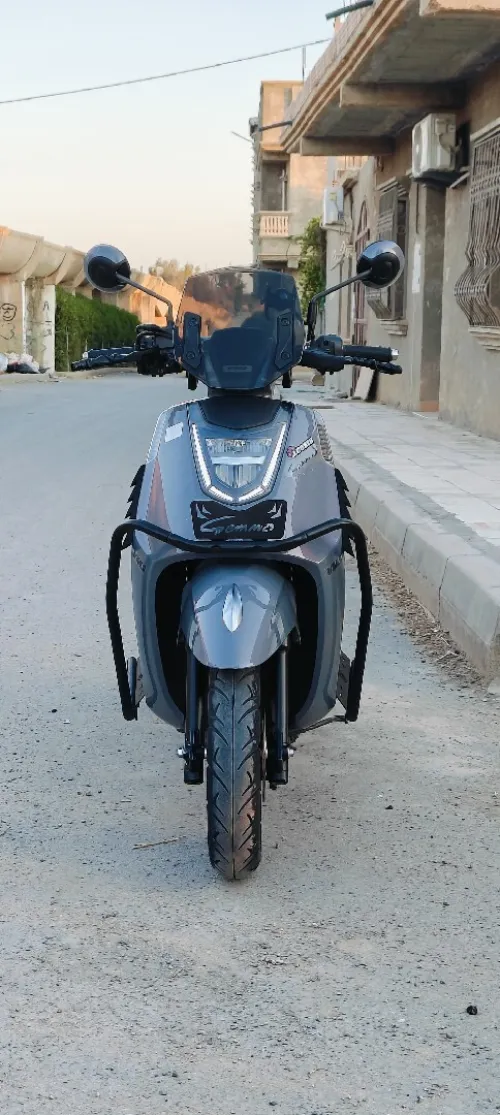 Vms Gemma 2025