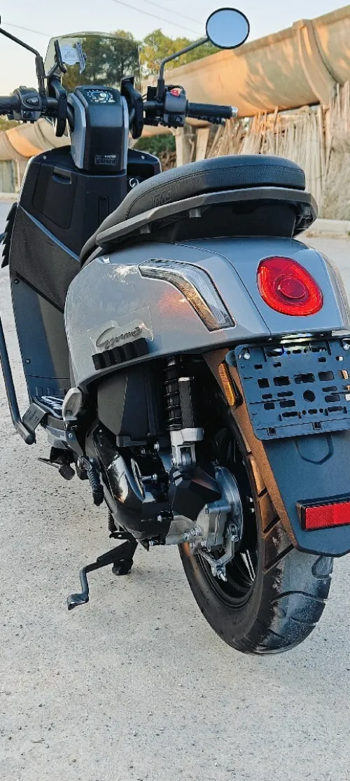 Vms Gemma 2025