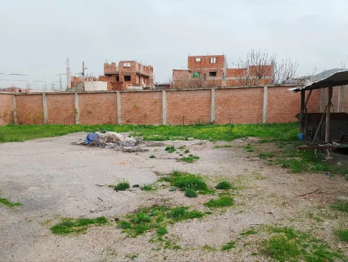 Location Local Blida Ouled selama