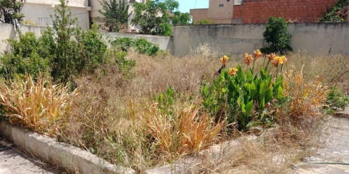 Vente Villa Tipaza Larhat