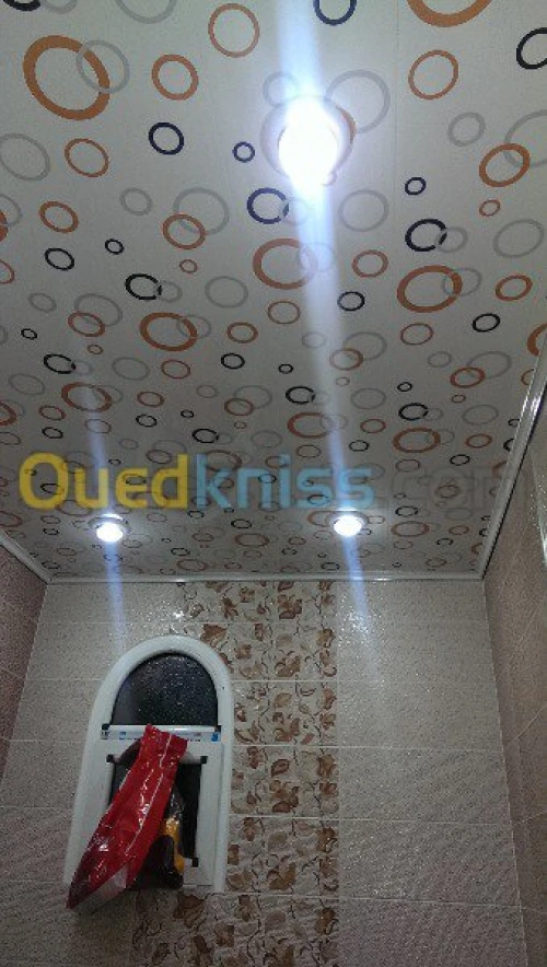 placoplatre faux plafond BA13 et PVC -
