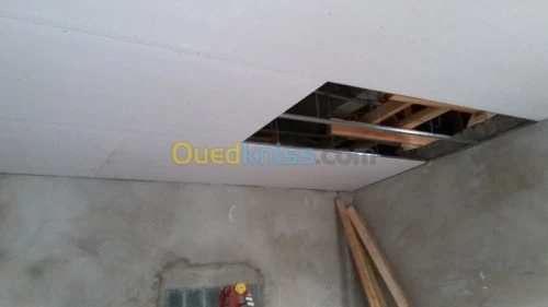 placoplatre faux plafond BA13 et PVC -