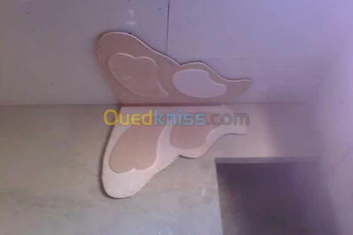 placoplatre faux plafond BA13 et PVC -