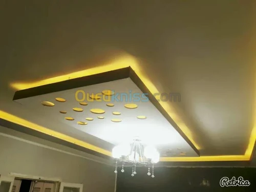 placoplatre faux plafond BA13 et PVC -