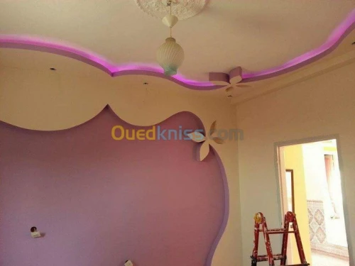 placoplatre faux plafond BA13 et PVC -