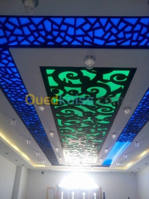 placoplatre faux plafond BA13 et PVC -