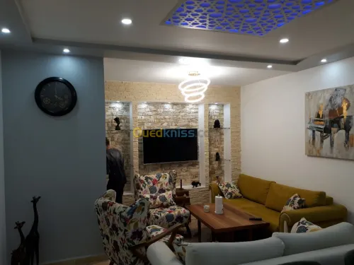 placoplatre faux plafond BA13 et PVC -