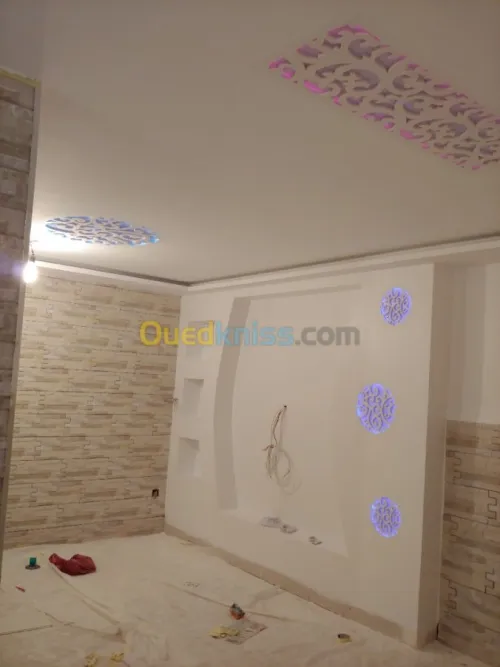placoplatre faux plafond BA13 et PVC -
