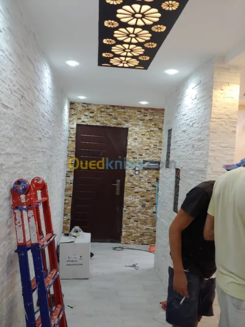 placoplatre faux plafond BA13 et PVC -