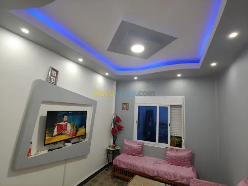 placoplatre faux plafond BA13 et PVC -