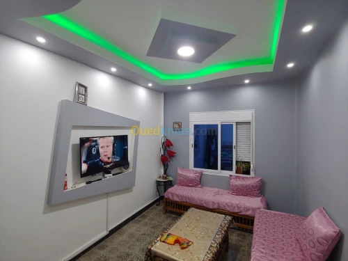 placoplatre faux plafond BA13 et PVC -