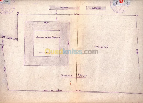 Vente Terrain Blida Blida