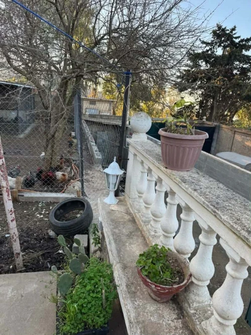 Vente Villa Alger Alger centre
