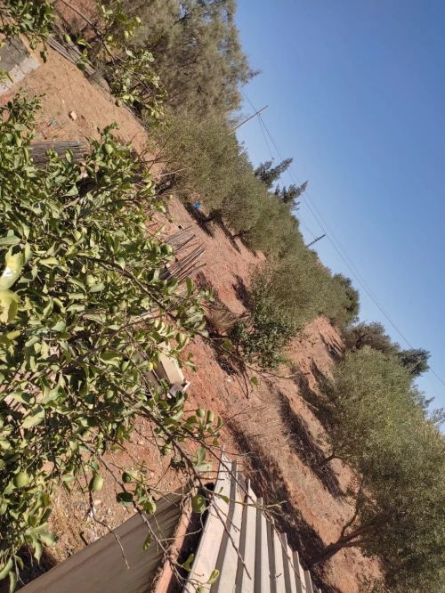 Vente bien immobilier Mostaganem Mesra