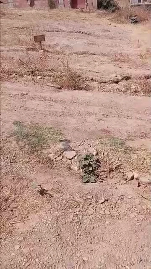 Vente Terrain Boumerdès Khemis el khechna