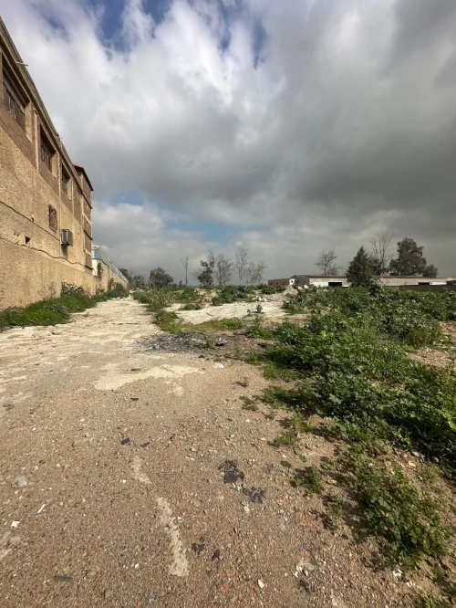 Location Terrain Alger Gue de constantine