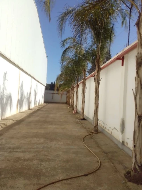 Location Hangar Alger Oued smar