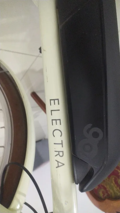 Vélo électrique Electra Go