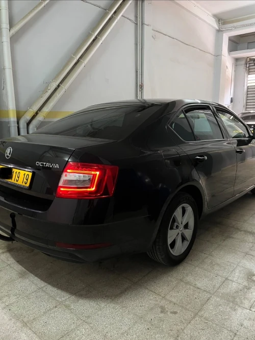 Skoda Octavia 2019 Business