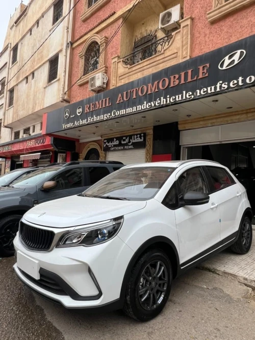 Livan X3 Pro  2026 Automatique (Avec toi ouvrant )