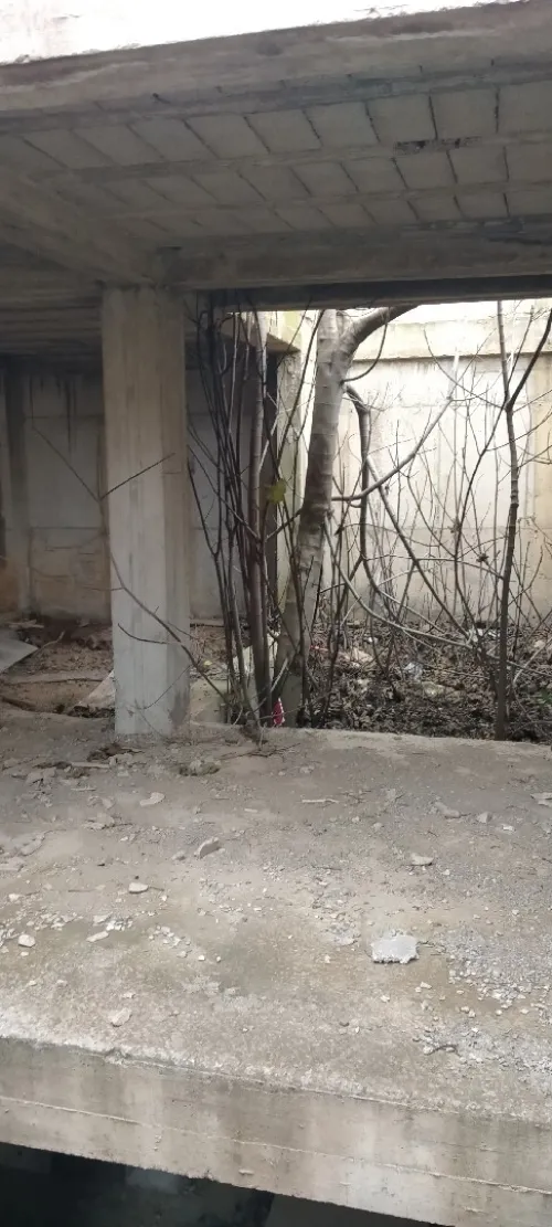 Vente Villa Alger Bouzareah