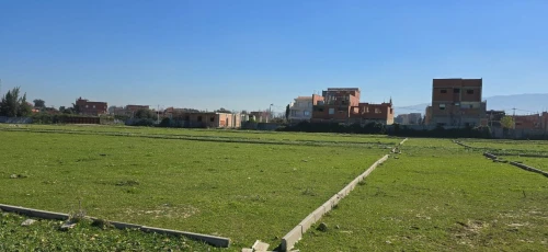 Vente Terrain Blida Ben khellil