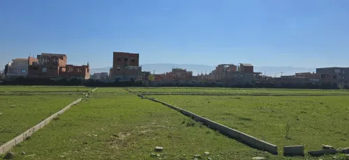 Vente Terrain Blida Ben khellil