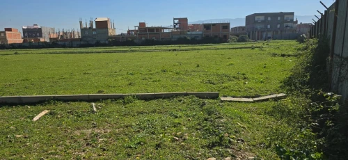 Vente Terrain Blida Ben khellil