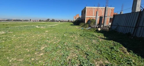 Vente Terrain Blida Ben khellil