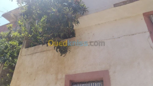 Vente Villa Setif Bougaa