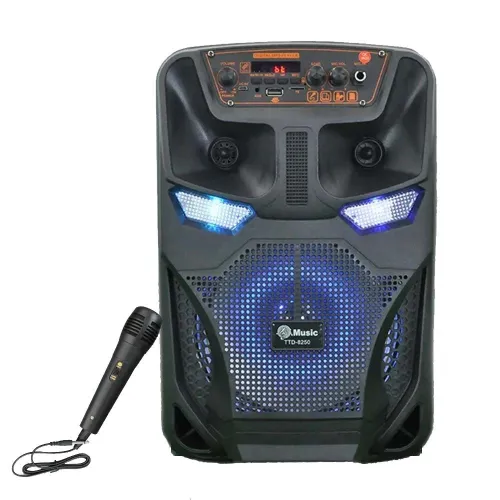 Haut parleur sans-fil Bluetooth 8 pouces TTD-8250 Rechargeable avec Microphone FM Radio Micro SD USB