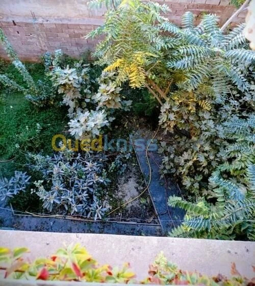 Location Villa Oran Oran