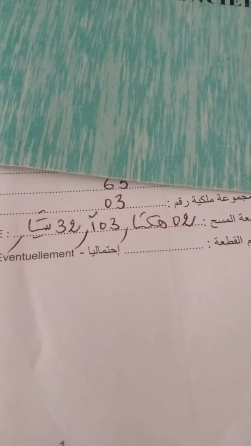 Vente Terrain Aïn Témouchent Oued sabah