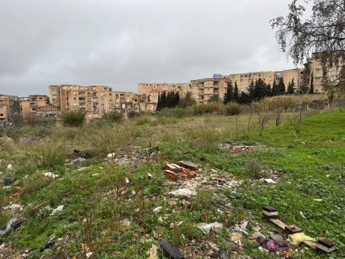 Vente Terrain Alger Beni messous