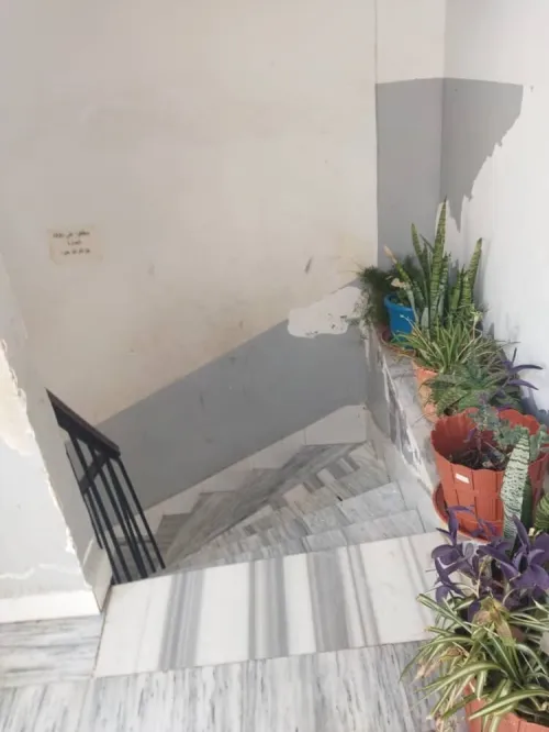 Vente Appartement F4 Alger Bab el oued
