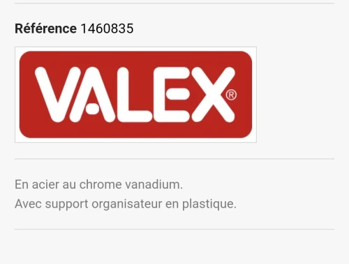 VALEX - Jeu de 9 clés Torx percée forme L chromé T10-T50 (Italy)