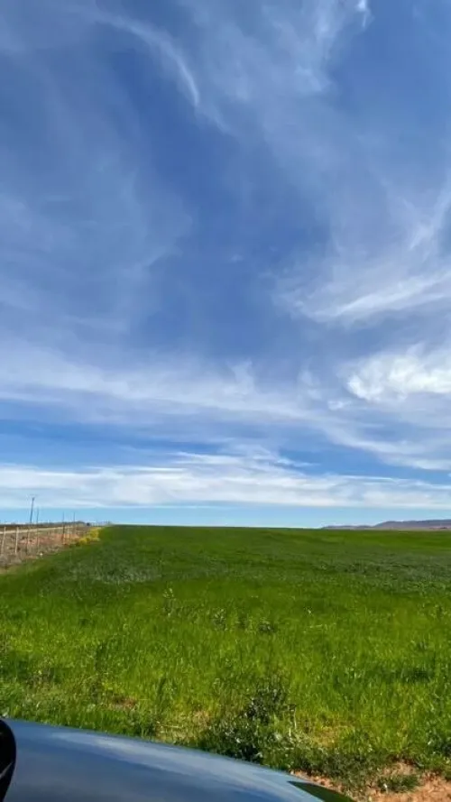 Location Terrain Agricole Tiaret Naima