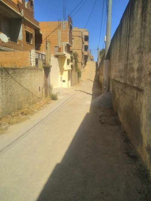 Vente Terrain Alger Saoula