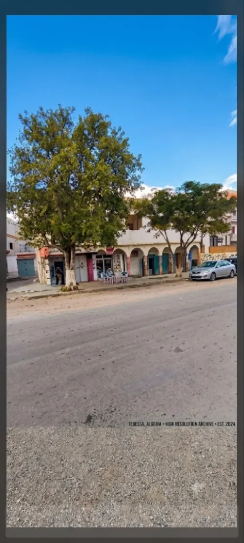 Vente Local Tébessa Tebessa