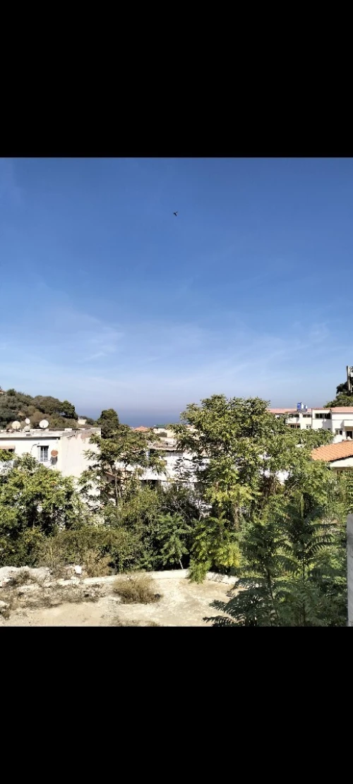 Vente Local Alger El mouradia