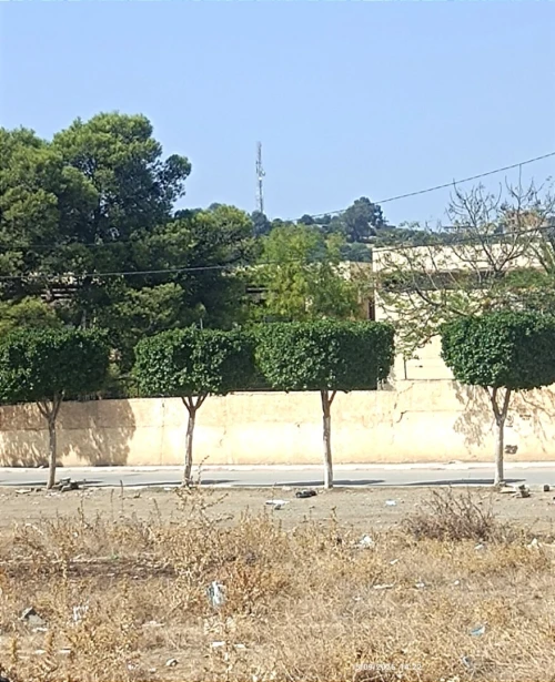 Vente Terrain Boumerdès Larbatache