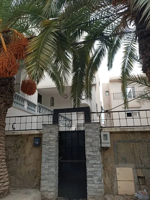 Location Villa Alger Dely brahim